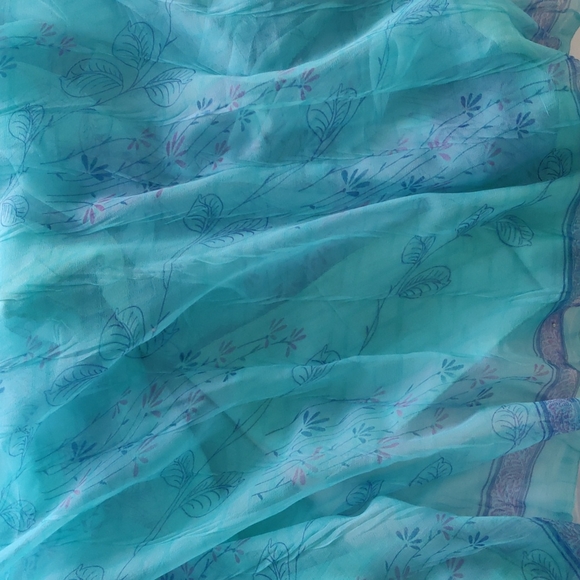 Pastel green blue chiffon saree